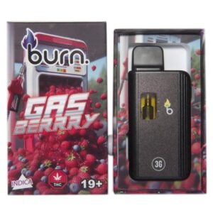 Burn – Gas Berry 3 Grams Disposable Vape buy weed online buy bulkcheapweed
