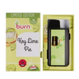 Burn – Key Lime Pie 3 Grams Disposable Vape buy weed online buy bulkcheapweed