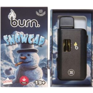 Burn – Snowcap 3 Grams Disposable Vape buy weed online buy bulkcheapweed