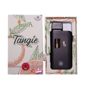 Burn – Tangie 3 Grams Disposable Vape buy weed online buy bulkcheapweed
