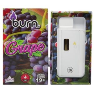 Burn Disposable Vapes – Grape (2 Gram) buy weed online buy bulkcheapweed