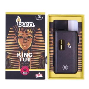 Burn Disposable Vapes – King Tut (2 Gram) buy weed online buy bulkcheapweed