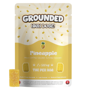 Grounded High Dose Bricks – Pineapple 500mg Gummy buy weed online buy bulkcheapweed