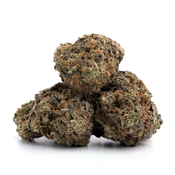 Adios-MF-7-600x600-1.jpg Alien Dawg