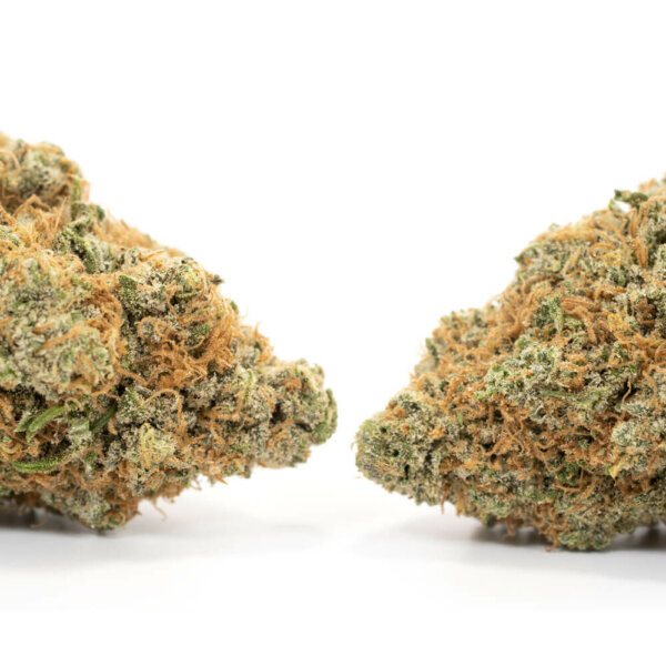 Agent-Orange-2-600x600-1.jpg Apple Pie