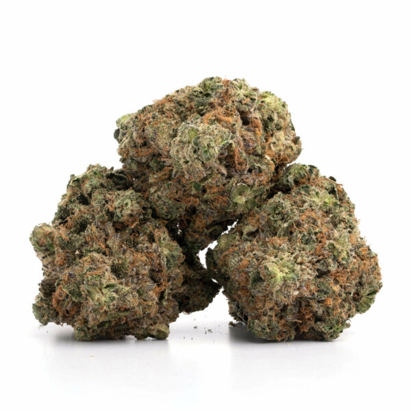 Astro-Pink-Strain-2-600x600-1.jpg Black Gas