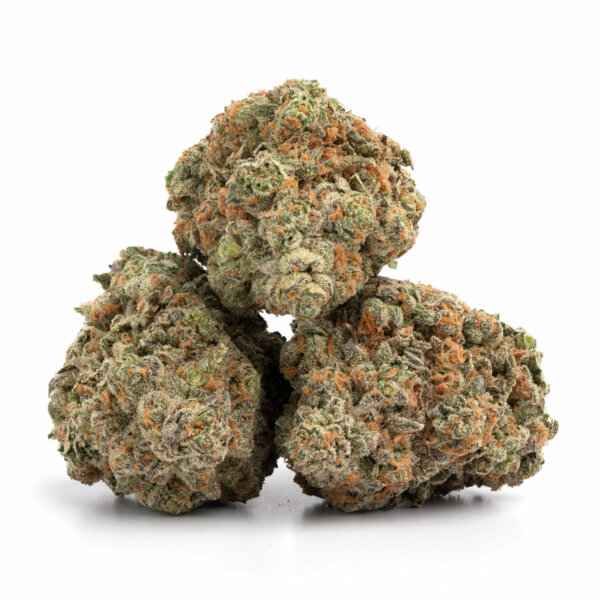 Biscotti-7-600x600-1.jpg Blue Diesel