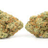 G-13