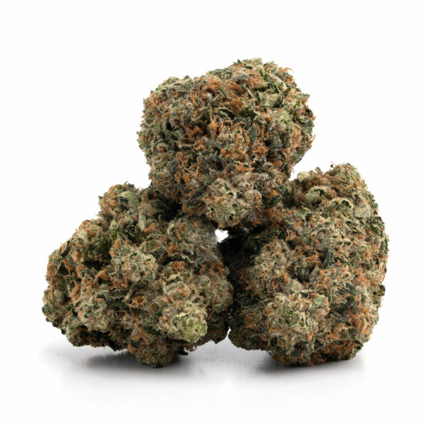 Comatose-7-600x600-1.jpg Ghost OG
