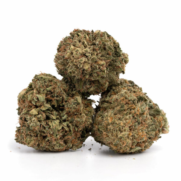 Critical-Mass-7-600x600-1.jpg Golden Pineapple