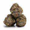Buy Cheap Weed Gorilla Cookies