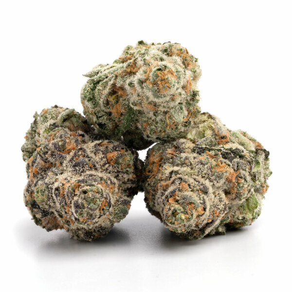 Gelato-7-600x600-1.jpg Kashmir Kush