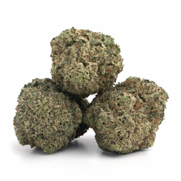 Mimosa-7-600x600-1.jpg Sensi Star